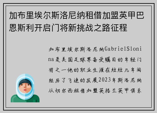 加布里埃尔斯洛尼纳租借加盟英甲巴恩斯利开启门将新挑战之路征程 加布里埃尔斯洛尼纳租借加盟英甲巴恩斯利开启门将新挑战之路征程